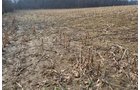 Property photo 89 - 98+/- Acres Offered in 6 Tracts or Combinations, Noble County, Indiana Farm